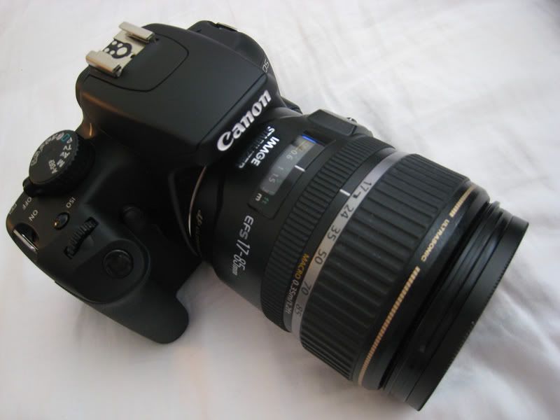 8" SCT w/ Canon Rebel XS DSLR, Mirrorless & GeneralPurpose Digital